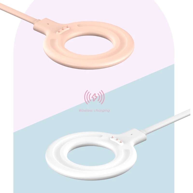 usb Charger for portable juice - огляд і ціна Beauty Queen Makeup