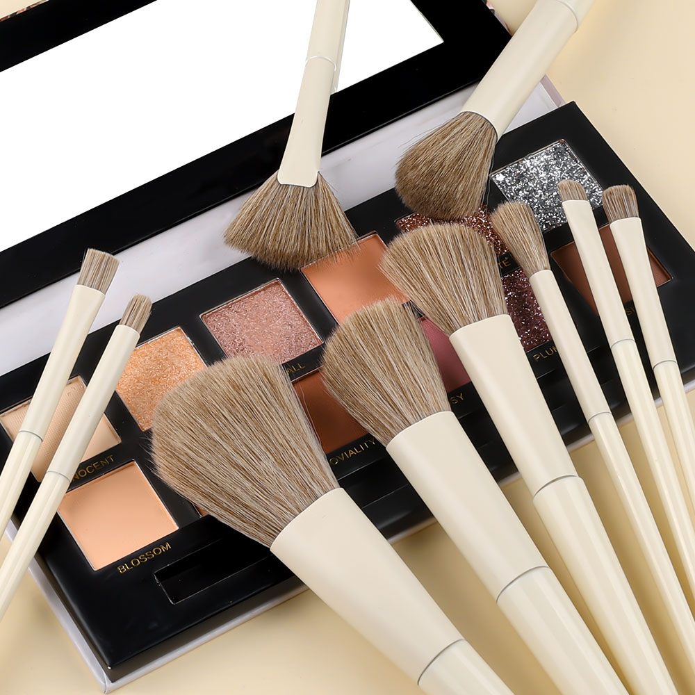 Professional 10PCS Makeup Brus - огляд і ціна Beauty Makeup Gift Sets