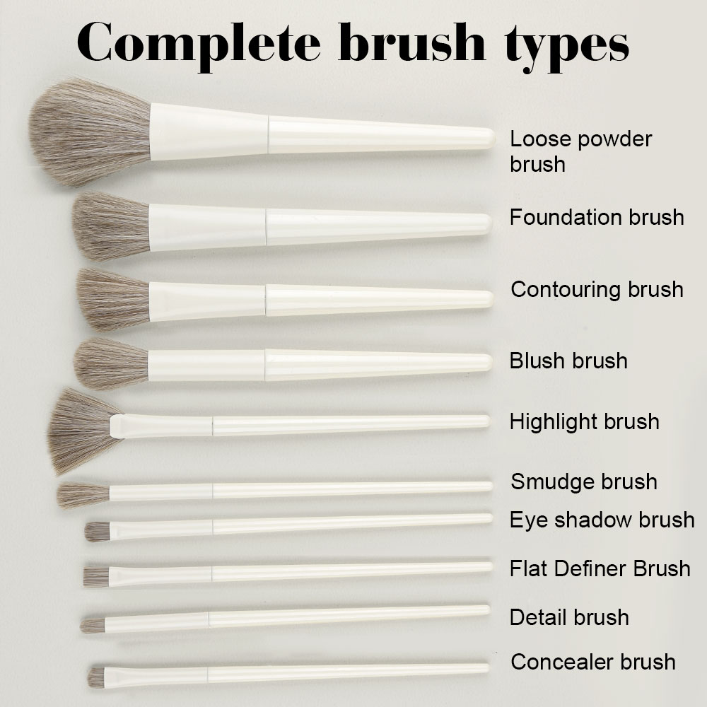 Professional 10PCS Makeup Brus - огляд і ціна Beauty Makeup Gift Sets